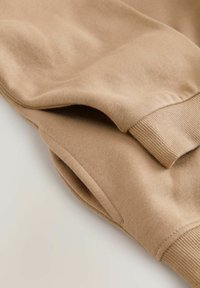 Next SUBSCRIBE - Jersey con capucha - stone