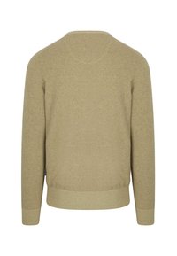 Helles olivgrünes Sweater, gestrickte Textur, Rundhalsausschnitt, lange Ärmel, gerippte Bündchen und Saum, keine sichtbaren Markenlogos oder Drucke.