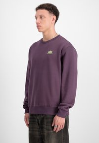 Lilla sweatshirt med ribbet runde hals og manchetter. Har et lille grønt logo på brystet. Båret med mørke jeans, hvilket giver et afslappet look.