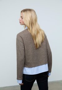 Brauner Woll-Pullover mit verkürztem Schnitt und lockerer Passform, getragen über einem hellblauen gestreiften Hemd. Verfügt über lange Ärmel und eine weiche Textur.