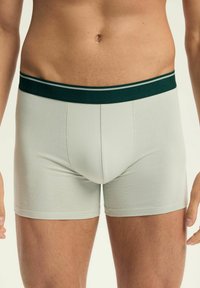 Jasnoszare bokserki z ciemnozielonym elastycznym pasem, z podwójnym wzorem pasków. Gładka tekstura i dopasowany krój.