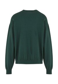 Sudadera verde con escote y dobladillo acanalados. Presenta mangas largas y un corte holgado con una textura suave y lisa. Diseño simple, sin logotipos.