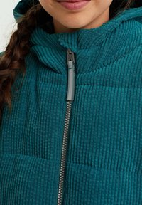 WE Fashion Vinterjacka - green