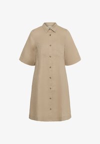 Ei valittu, silver mink