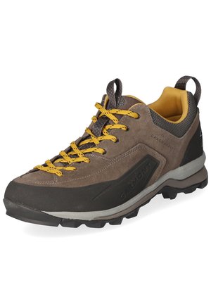 DRAGONTAIL - Sneakers laag - braun