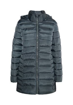 Tamsiai pilkas pūkinis švarkas su kapišonu, turintis siuvinėjimo skyrius, priekinį užtrauktuką ir lygų, blizgantį paviršių.