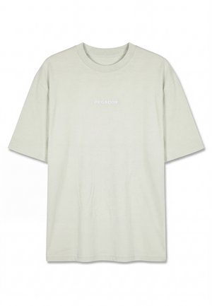 Pegador, BRACY HEAVY OVERSIZED TEE - T-shirt basique - washed green sorbet