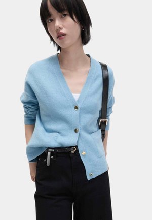 V-NECK BUTTON FRONT RELAXED - Cardigan - light airforce