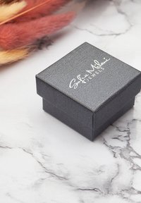 Sofia Milani DOUBLED - Örhänge - silver coloured