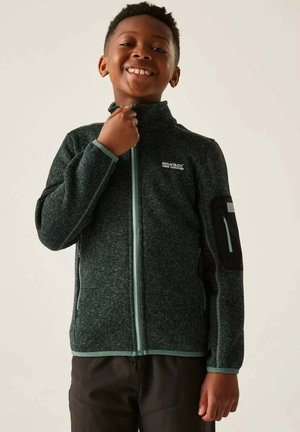Regatta, NEWHILL - Fleece jacket - green haze spruce green
