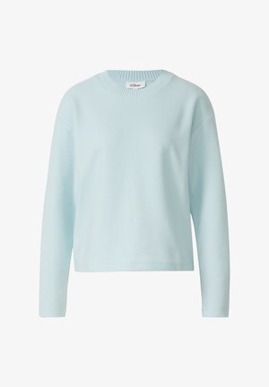 Helles blaues Sweatshirt mit ribbelndem Rundhalsausschnitt, langen Ärmeln und lässiger Passform. Hergestellt aus weichem Stoff mit glatter Textur.