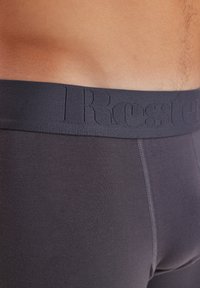 Boxer briefs grigi in cotone con una banda elastica testurizzata su cui è stampato il nome del marchio. Tessuto liscio, design attillato e cuciture ordinate sono evidentemente visibili.