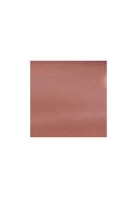 Danessa Myricks Beauty COLORFIX MATTES - Øyenskygge - gingerbread