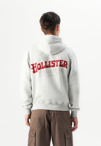 Giovane di spalle che indossa una felpa grigia chiara con il testo rosso "Hollister" e pantaloni cargo marroni, su sfondo bianco.