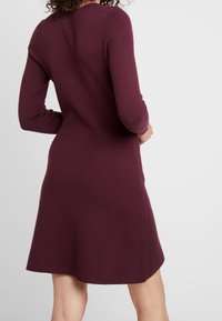 Pfundfarbendes Strickkleid mit langen Ärmeln, tailliertem Oberteil und ausgestelltem Saum. Glatte Textur, klassischer runder Ausschnitt und minimale Nähte.