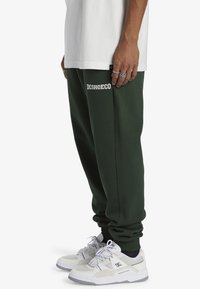 DC Shoes BASELINE - Verryttelyhousut - gzh mountain view