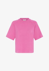 Vybrané, phlox pink