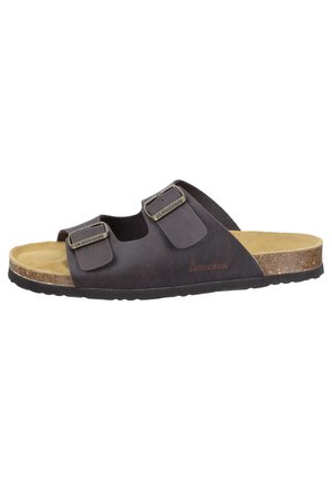 Brown open-toe sandal with two adjustable straps, cork footbed, and black sole, branded with "Dr. Brinkmann" on side and buckles.