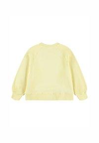 Felpa giallo chiaro con scollatura rotonda, maniche raglan e polsini e orlo a coste, caratterizzata da una texture liscia.