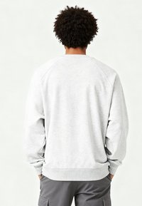 Sweat-shirt gris clair en matière douce, doté d'un col rond, de poignets et d'un ourlet côtelés, avec des manches raglan et une texture lisse.