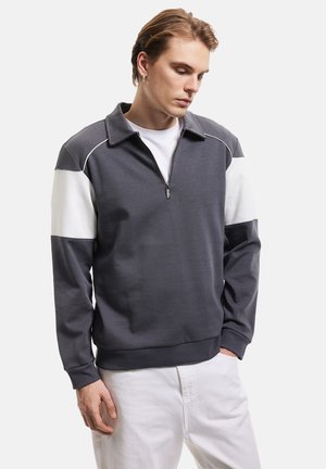 HALF ZIPPERED - Sudadera - anthracite