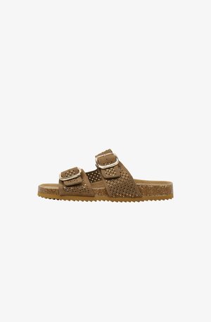 LIMMA, BER - Mules - camel