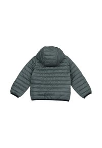 Chicco OUTERWEAR - Giacca invernale - green