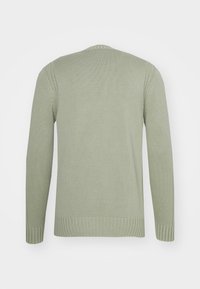 Ljusgrön långärmad stickad tröja med ribbade ärmslut, nederkant och krage, visad från baksidan mot en vit bakgrund.