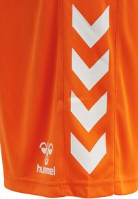 Oranga sportshorts gjorda av lätt tyg. Har vita körbmönster och en liten logotyp vid fållen. Slät yta.