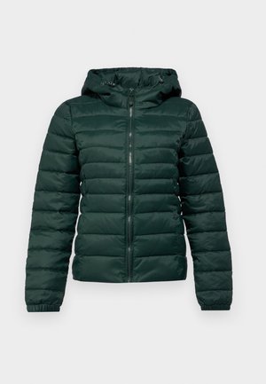 Doudoune vert foncé avec fermeture éclair à l'avant, capuche, poignets côtelés et couture horizontale. Texture douce et lisse avec un design matelassé.