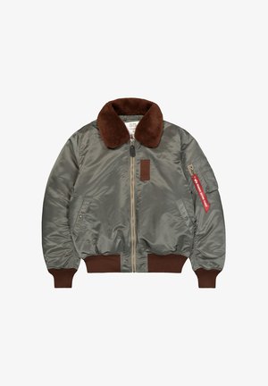 Alpha Industries, B-15 HERITAGE - Chaquetas bomber - vintage green