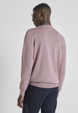 Muškarac u svijetloplavom džemperu s dugim rukavima i tamnim hlačama, okrenut leđima, s kratkom kosom i sunčanim naočalama na jednobojnoj pozadini.