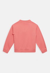 Felpa corallo con maniche lunghe, polsini a coste e scollatura rotonda. Texture liscia, design semplice, senza pattern visibili o accessori.