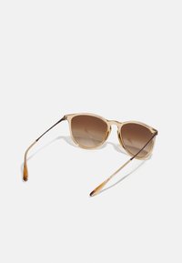 Ochelari de soare cu ramă transparentă bej, lentile gradiente de culoare marron și brațe nuanțate de marron, având un design elegant.