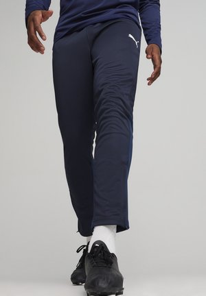 FUSSBALL TEAMGOAL TRAINING  - Tracksuit bottoms - dunkelblauweissblau