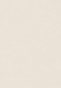 Helle beigetönige strukturierte Oberfläche mit subtilen Variationen. Glatte und matte Oberfläche, minimalistisches Design, geeignet für verschiedene Anwendungen.