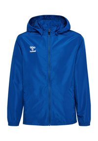 Unausgewählt, true blue