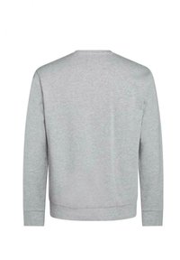 Grå sweatshirt med lange ærmer, rund halsudskæring og ribbede manchetter. Materialet ser blødt og struktureret ud, uden synlige mønstre eller detaljer.