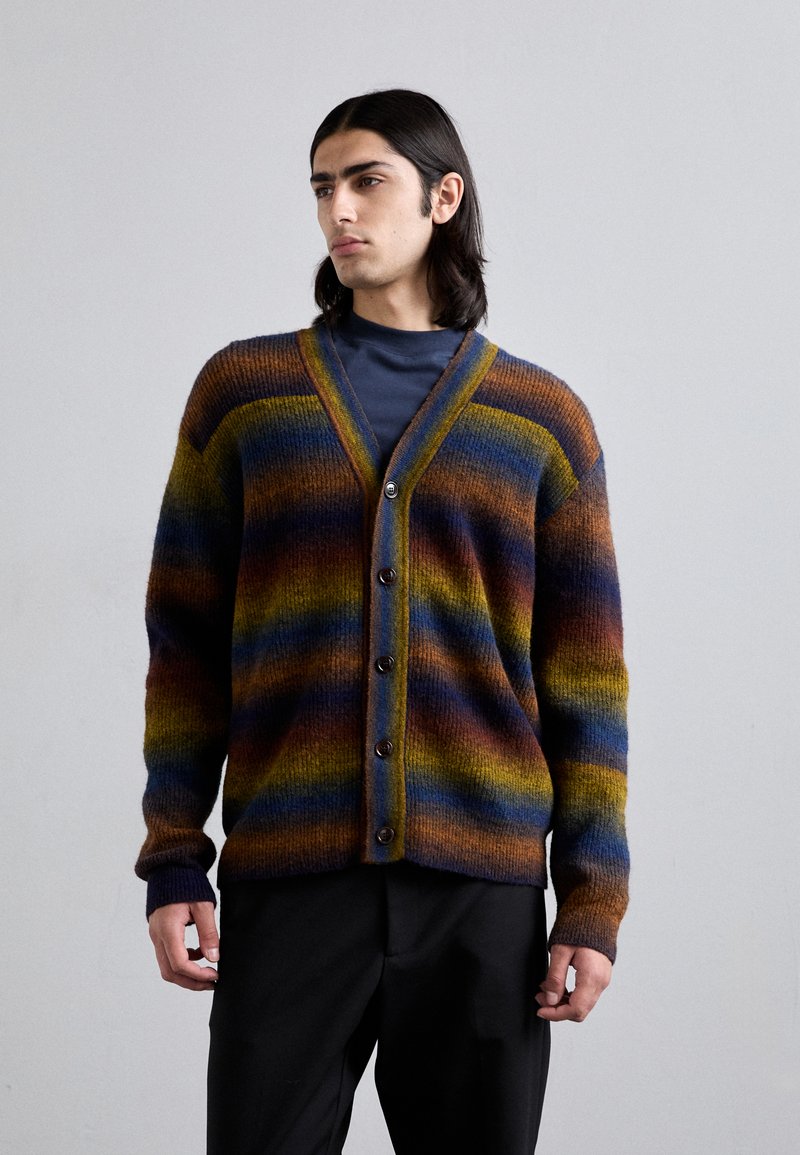 NN.07 VIGGO CARDIGAN - Chaqueta de punto - multi shades