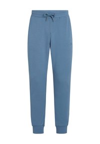 Blue sweatpants made from soft fabric, featuring an elastic waistband with adjustable drawstring, ribbed cuffs, and subtle logo detail.