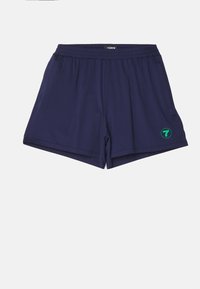 TECH BASKET SHORTS - Shorts - evning blue