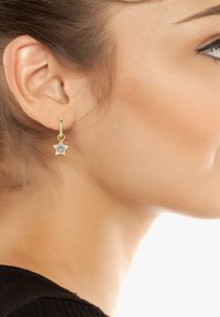 Steve Madden SET - Boucles d'oreilles - gold-coloured