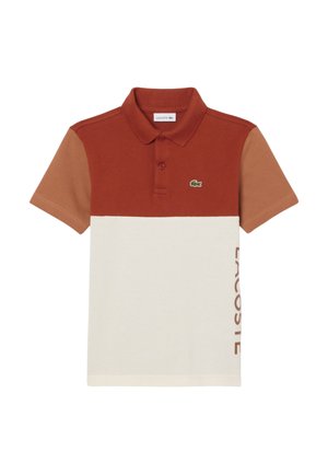 Polo - marron   marron clair   blanc hiz