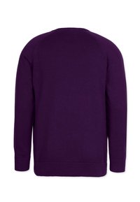 Purple knitted sweater; long sleeves, round neckline, ribbed cuffs and hem. Smooth texture with even color throughout.
