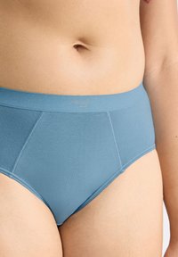 Close-up van een persoon die blauwe hooggerimde katoenen onderbroek draagt met zichtbare naden en een klein logo op de tailleband.
