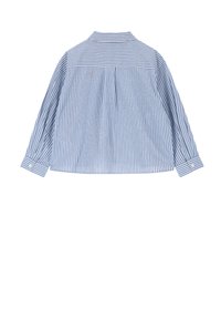Blue and white striped shirt with long sleeves, a collar, a back pleat, and buttoned cuffs. Made of lightweight fabric.