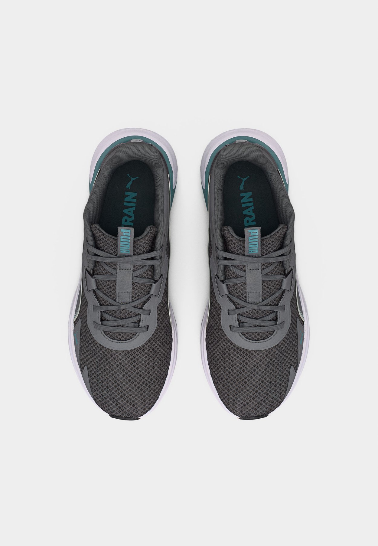DISPERSE XT 4