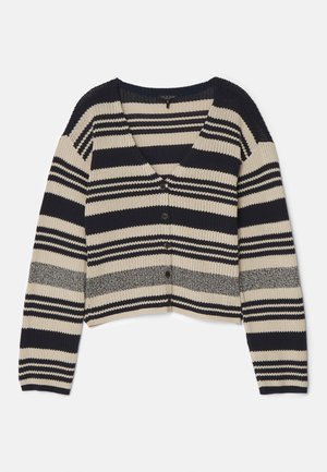 rag & bone CYRUS STRIPE - Strickjacke - salute