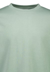 Jasnozielona krótka koszulka z krótkim rękawem, wykonana z miękkiej bawełny, z okrągłym dekoltem i gładką, jednolitą strukturą bez wzorów czy akcentów.