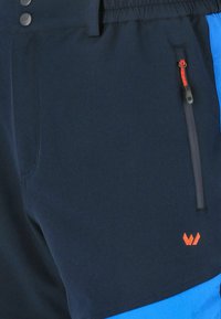 Whistler AVIAN ACTIV STRETCH - Friluftsshorts - skydiver
